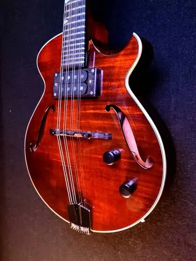 Eastman Guitars - ER-M 2